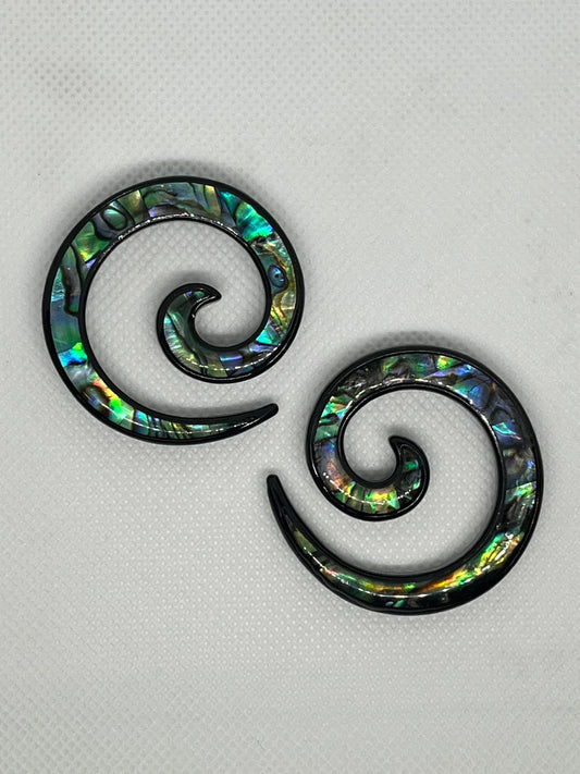 Koru - Paua